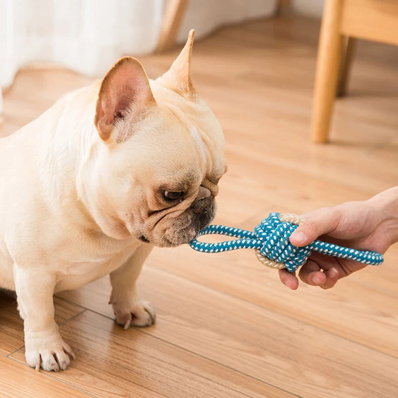 Interactive Cotton Rope  Dog Toy