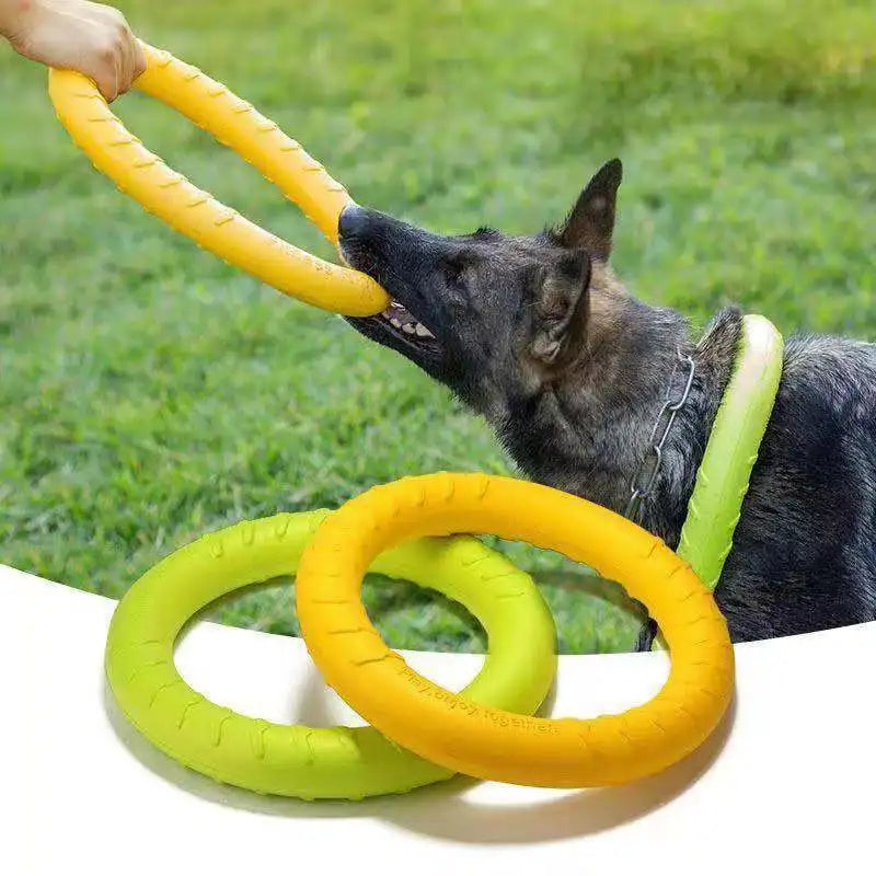 Flying Ring  Dog Toy