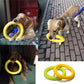 Flying Ring  Dog Toy