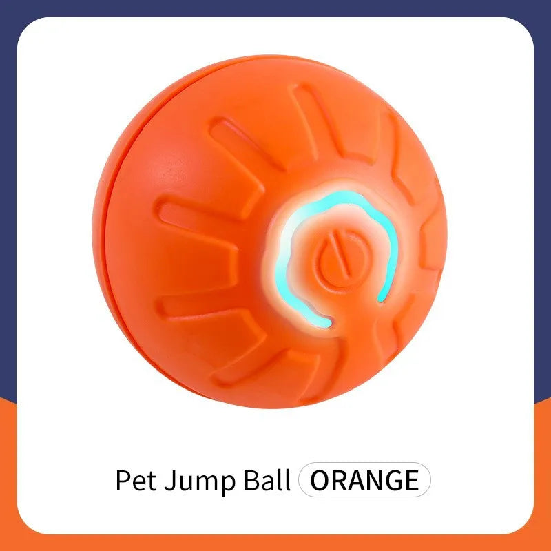 Smart Dog Bouncing Toy Ball