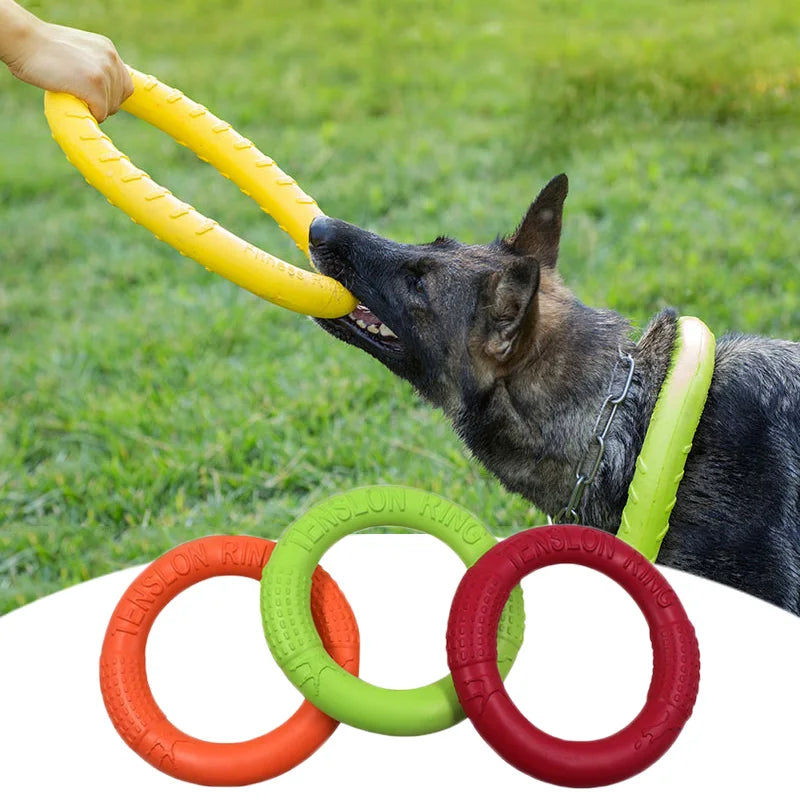 Flying Ring  Dog Toy