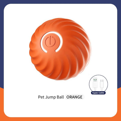 Smart Dog Bouncing Toy Ball