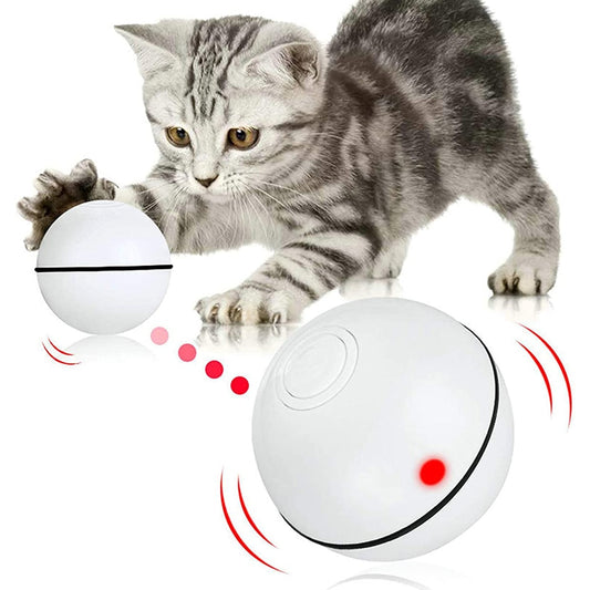 Self Rotating Roll Ball Cat Toy