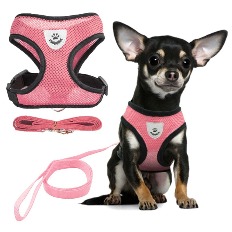 Vest Harness Leash Set For Cats & Small Dogs