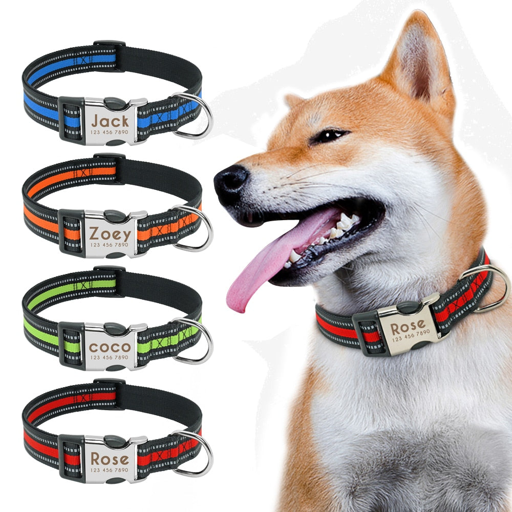 Personalized Nameplate ID Pet Collar