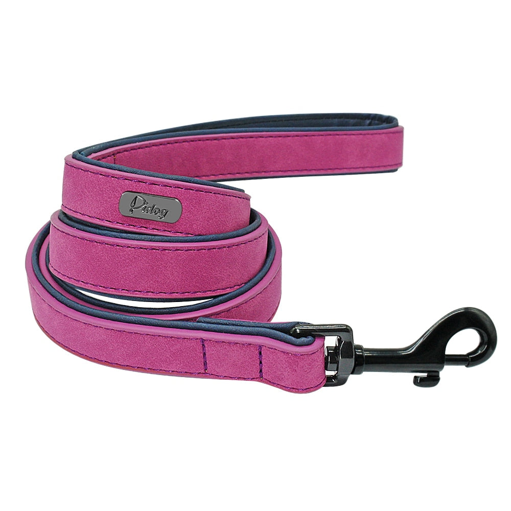 Personalized Dog Tag Collar & Leash Lead