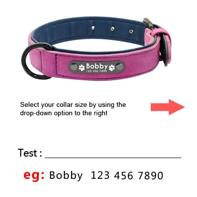 Personalized Dog Tag Collar & Leash Lead