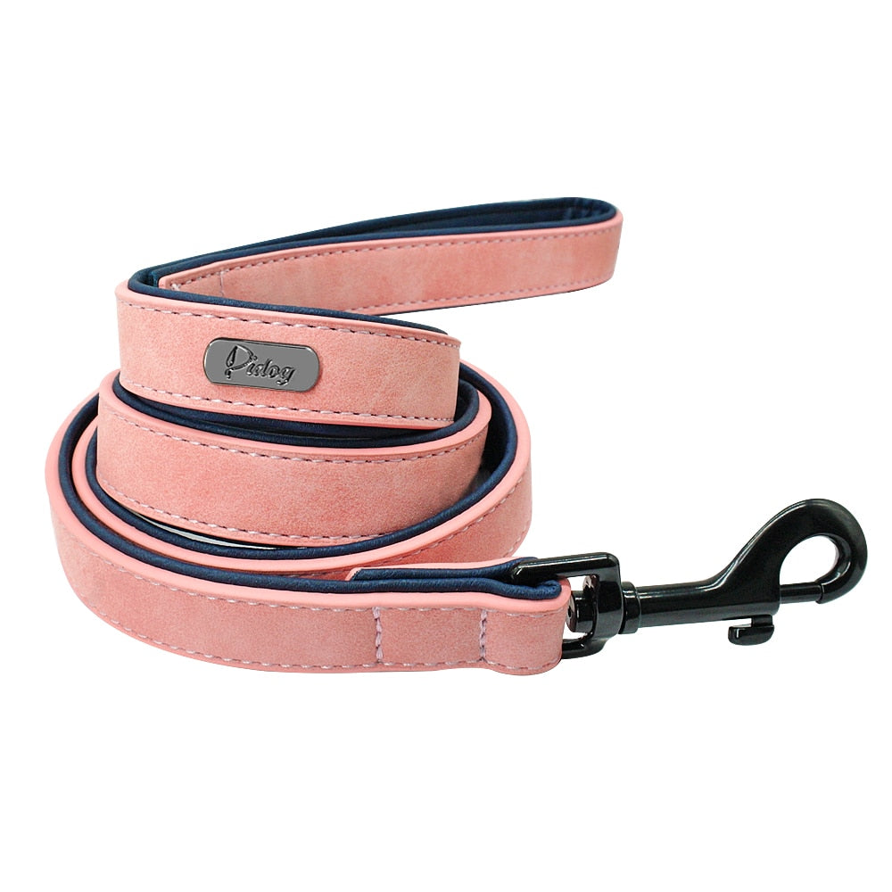 Personalized Dog Tag Collar & Leash Lead