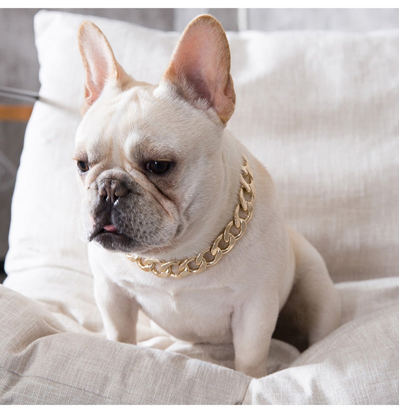 Gold Dog Chain Collar