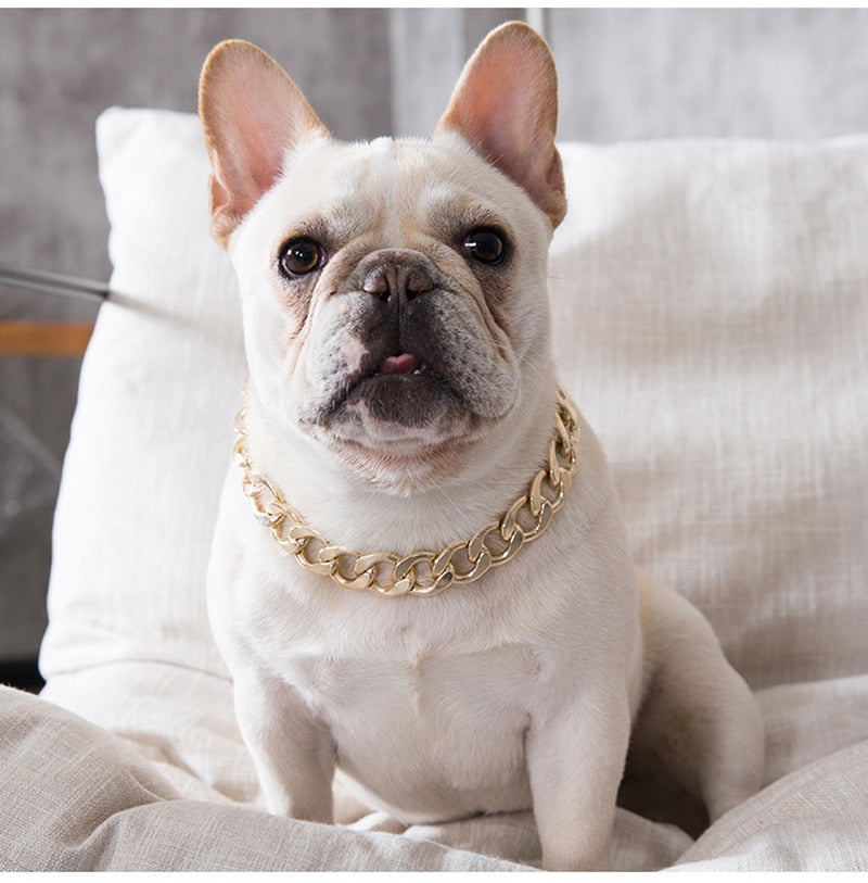 Gold Dog Chain Collar