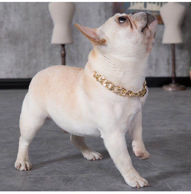 Gold Dog Chain Collar