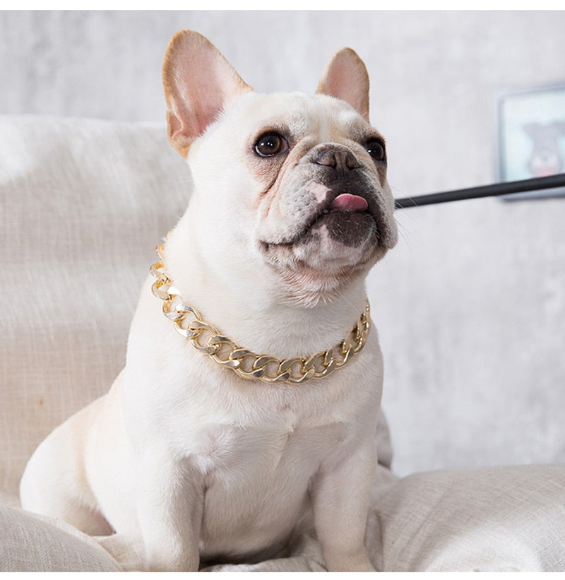 Gold Dog Chain Collar