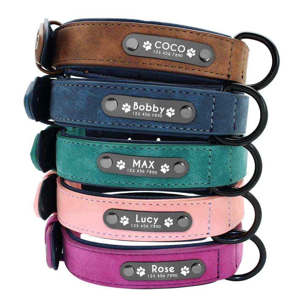 Personalized Dog Tag Collar & Leash Lead