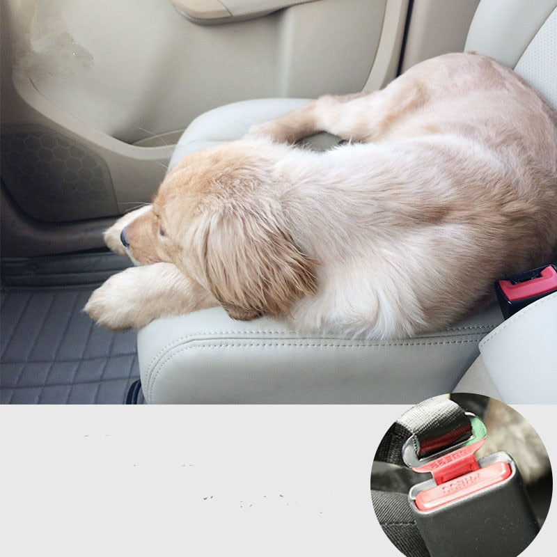 Pet Car Seat Belt