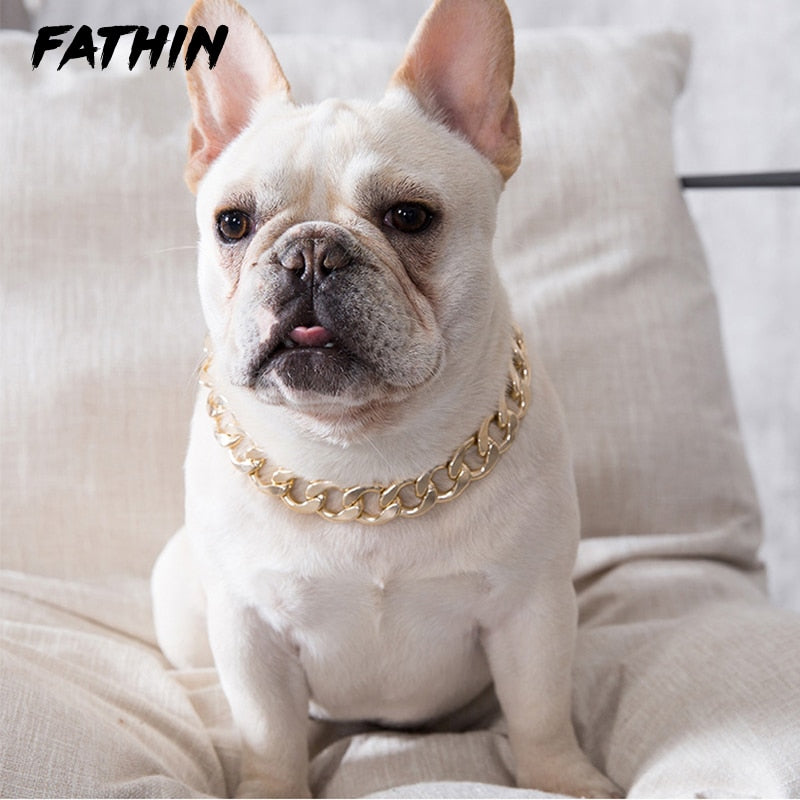 Gold Dog Chain Collar